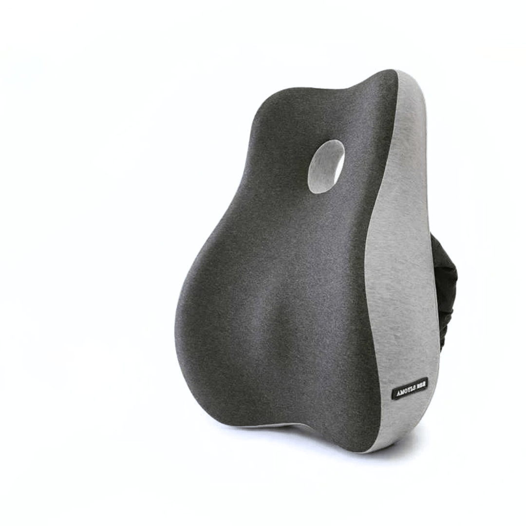 Inspodesk Neck & Back Support Back Cushion / Graphite Fusion ErgoPure: Elite Spine Support Set