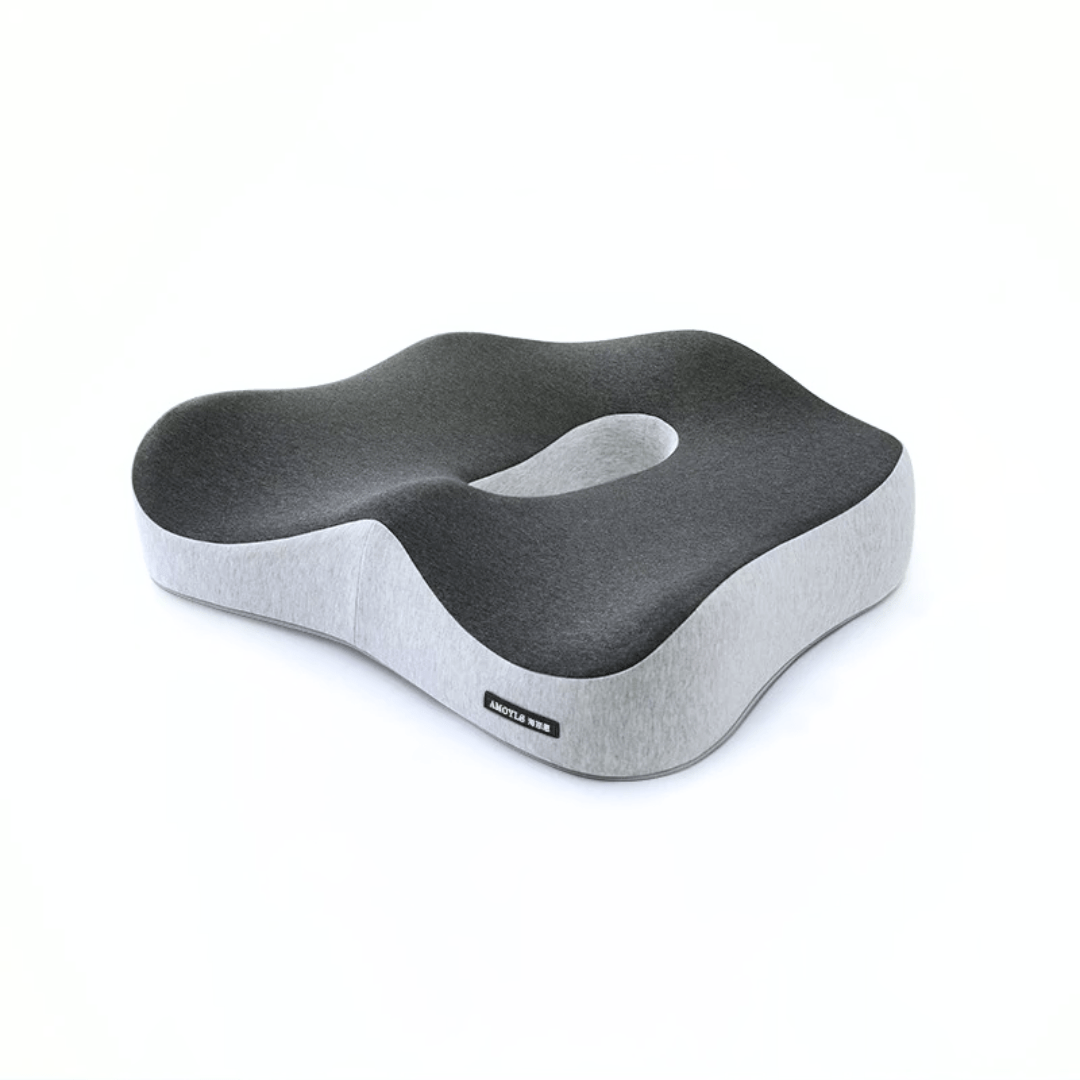 Inspodesk Neck & Back Support Seat Cushion / Graphite Fusion ErgoPure: Elite Spine Support Set
