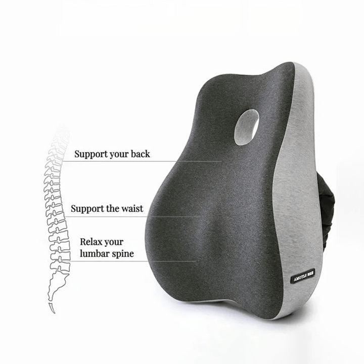 Inspodesk Unlock Superior Comfort and Spine Health: "ErgoPure" Elite Support Set