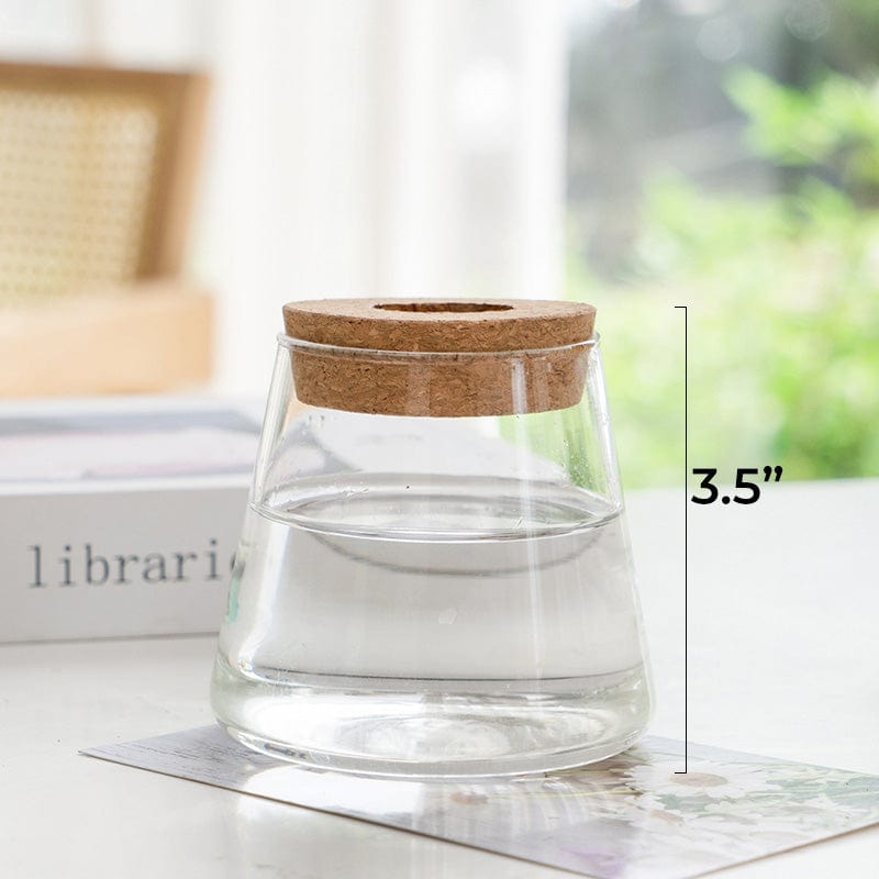 yuni Flask vase Biophilia 'Plantaria' minimalist Transparent glass vase